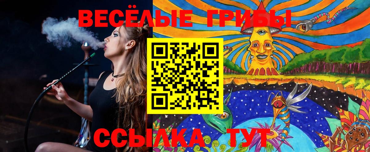 Псилоцибиновые грибы мицелий  Вход с VPN  Артём  Галлюциногенные грибы Cubensis 