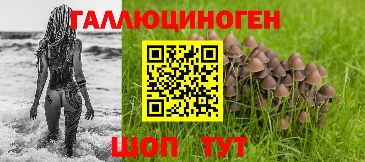 Галлюциногенные грибы Psilocybine cubensis Артём