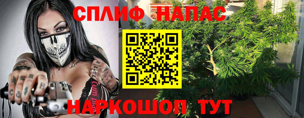 Бошки марихуана марихуана Артём
